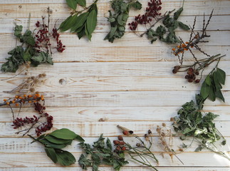 The concept of using medicinal dried herbs. Wooden white background with different medicinal herbs. Phytotherapy with herbs and flowers.