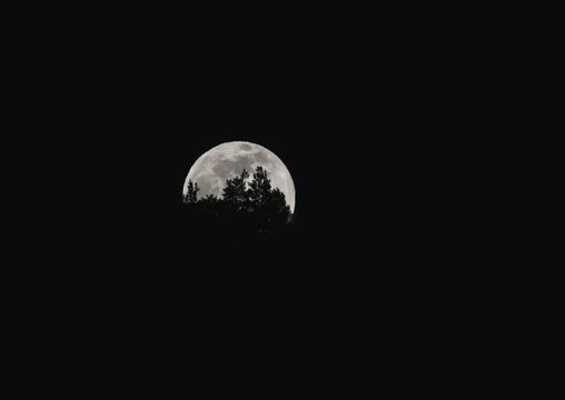 Moon 