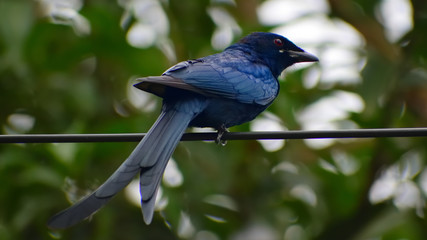 Birds in wild with natural beauty.....