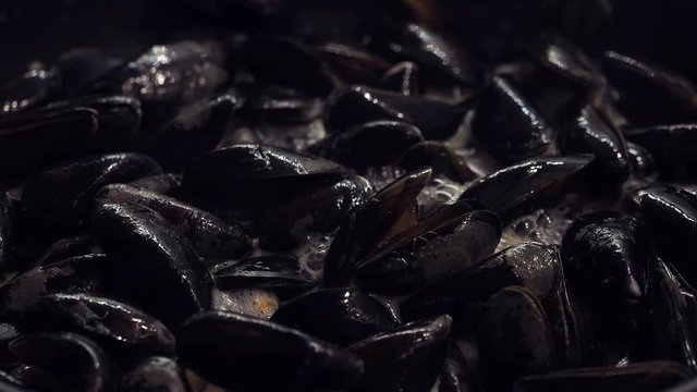 MIesmuscheln in Sud