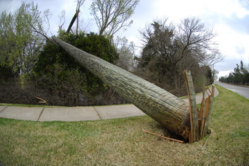 tornado damage