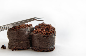 Pincet lies on peat tablets and is ready to plant seeds