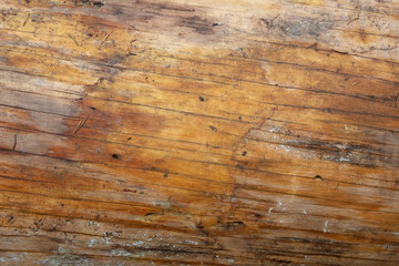 Oberfläche eines Baumstamms