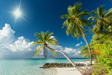 tropical paradise beach