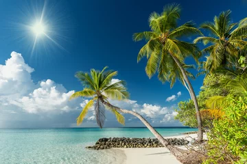 Foto op Plexiglas tropical paradise beach © Loocid GmbH