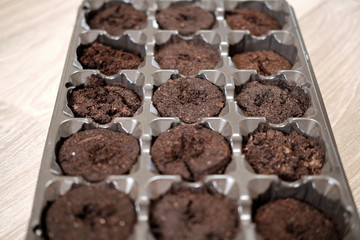 Mini greenhouse with peat tablets for growing seedlings