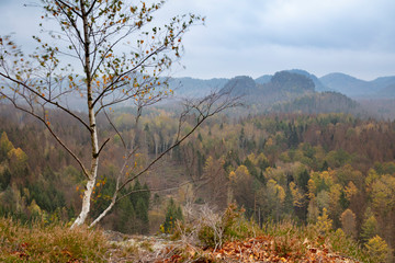 Kirnitzschtal, Nationalpark Sächsiche Schweiz, Elbsandsteingebirge, Sachsen, Deutschland, Europa