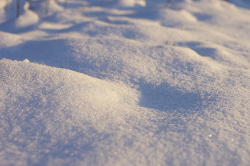 White snow in with warm sunlight and blue shadows.
