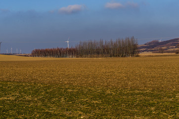 wiatrak  © wedrownik52