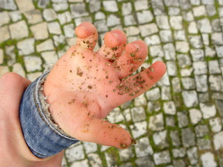 Dirty palms of the child. Dirty hands of a child in the sand. hygiene. Child cleanliness education