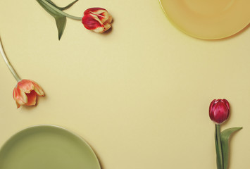 background with a plate and a tulip