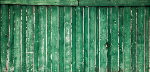 old green fence under the snow