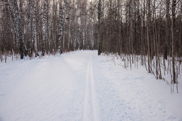 wintry landscape scenery with modified cross country skiing way