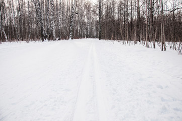 wintry landscape scenery with modified cross country skiing way