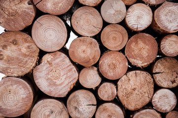 Fototapeta premium Pile of wood logs storage for industry