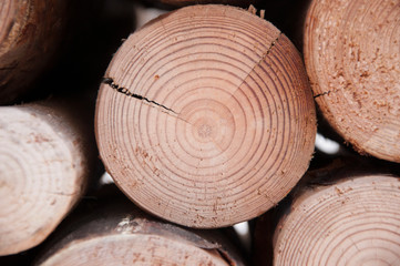 Pile of wood logs storage for industry