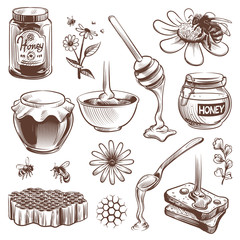 Hand drawn honey. Beekeeping sketch natural organic sweet food honey, pollen and beeswax, hive bee vintage vector set