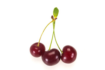 Sweet ripe cherry with leaves