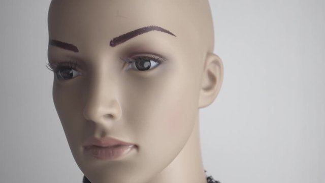 Beautiful bald female humanoid head turning face to camera.