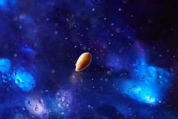 Obraz na płótnie Canvas Abstract galaxy background. Seeds are the origin of life in space close up