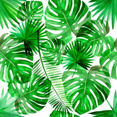 Tropical green beach summer palm leaf pattern set watercolor illustrated