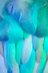 Neon glowing feathers of a bird background. Flat lay.