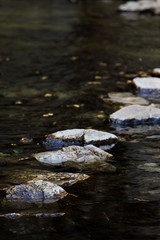 Stepping stones in a California lake