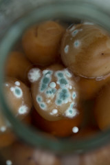 Blue, green, white mold on products, on a peach compote. Harm to mold.