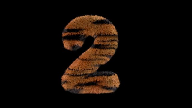 3d animated furry typeface with tiger hair and alpha channel  2