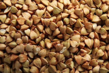 Closeup view of organic green buckwheat as background