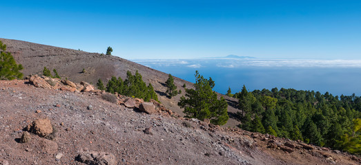 Panoramatic view of volcanic landscape with lush green pine trees, colorful volcanoes and white clouds at path Ruta de los Volcanes, hiking trail. La Palma, Canary Islands, Spain, Blue sky background