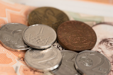Czeskie korony waluta banknot i monety