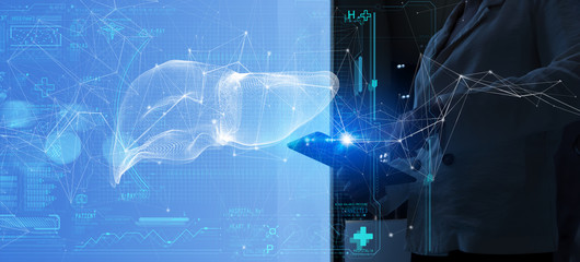 Medicine woman doctor touching digital medical record tablet with Liver. AR of healthcare and network connection on hologram modern Ui forTreatment and diagnostics of liver