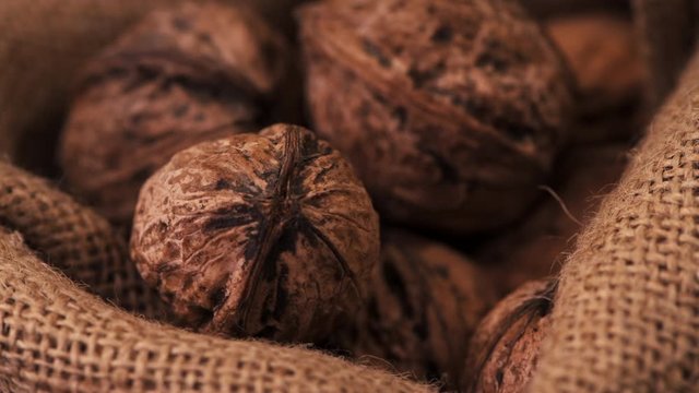 Ripe walnut shells in burlap sack on rotating stand