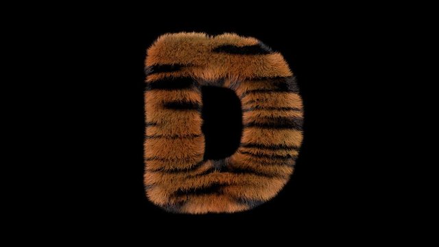 3d animated furry typeface with tiger hair and alpha channel  D