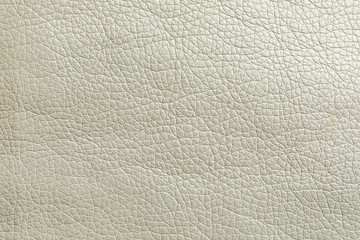 Texture of white leather as background, closeup