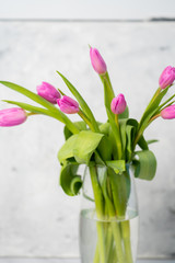 Spring flower pink tulips