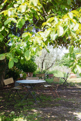 Gartentisch, unter Nussbaum