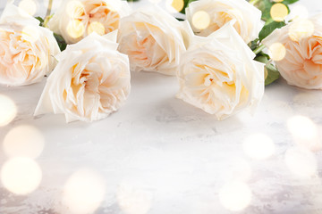 Obraz na płótnie Canvas Beautiful white roses flowers .