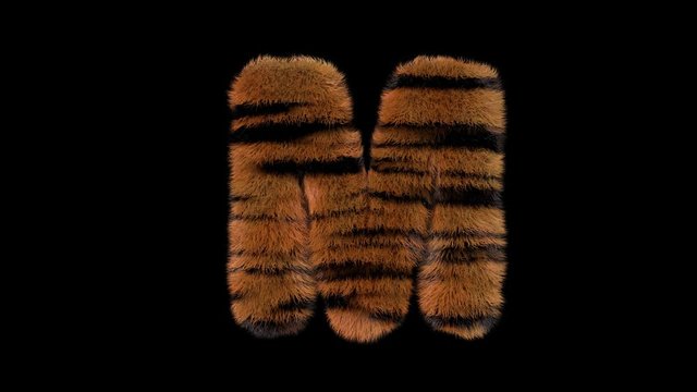 3d animated furry typeface with tiger hair and alpha channel  M