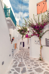 Fototapeta na wymiar Amazing narrow streets of popular destination on Paros island. Greece. Traditional architecture and colors of mediterranean city. Blue doors, white buildings and bougainvillea flowers in paradise