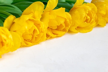 Bouquet of yellow tulips for the holidays. Women's Day, Valentine's Day, name day. On a white background.