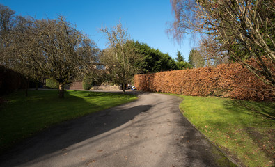 Fototapeta na wymiar Residential driveway in Autumn
