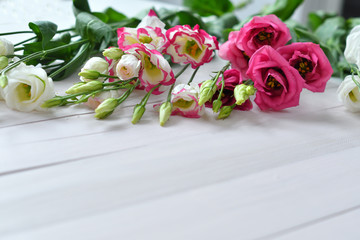 Valentine card.Template greeting card for Valentine's Day. Spring card for Mother's Day, Women's Day. Greeting card with white and pink eustomas .copy space. March 8