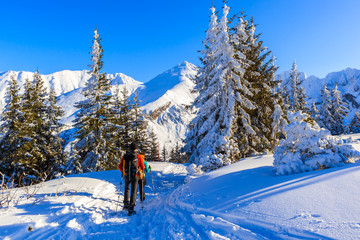 Unidentified backpackers on walking trail in Gasienicowa valley during winter time, Tatra Mountains, Poland
