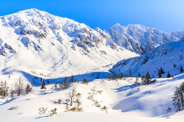 View of beautiful peaks covered by fresh snow near Czarny Staw lake in Gasienicowa valley, Tatra...