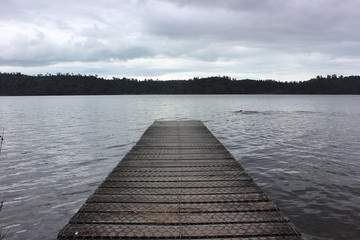 Foot Bridge