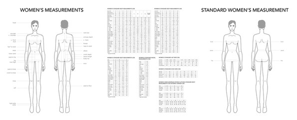 Size Chart Template Photos Royalty Free Images Graphics