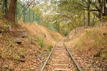 vintage train track in autumn forest