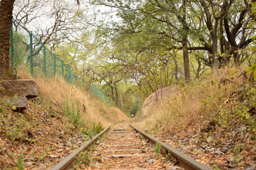 vintage train track in autumn forest